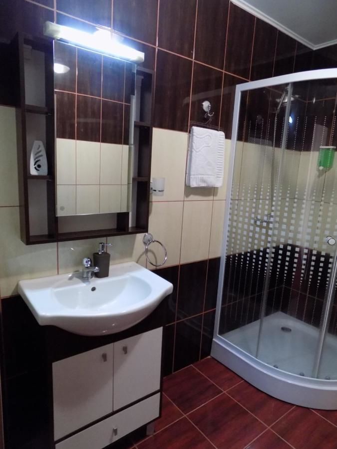 Гостевой дом Casa Tiky Тимишоара-23