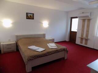 Гостевой дом Casa Tiky Тимишоара Двухместный номер с 1 кроватью и собственной ванной комнатой-1