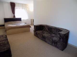 Гостевой дом Casa Tiky Тимишоара Двухместный номер с 1 кроватью и собственной ванной комнатой-16