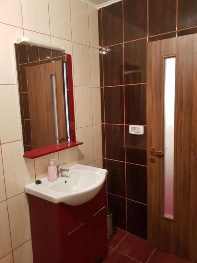 Гостевой дом Casa Tiky Тимишоара-37